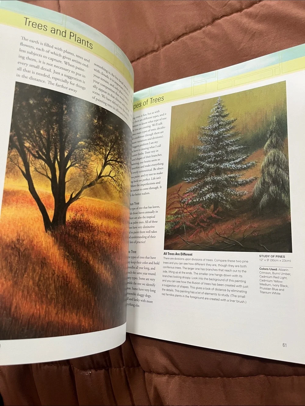 Paint Landscapes in Acrylic by — Green and Multi-Color Art Instruction Book